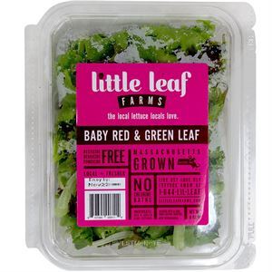 Little Leaf Baby Red & Green Leaf, 4 Oz - : Online Kosher  Grocery Shopping and Delivery Service in New York City